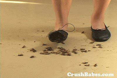 cricket crush fetish|Barefoot crush crickets